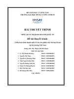đề tài thuyết trình chiến lược kinh doanh quốc tế của sản phẩm máy hút bụi dyson tại thị trường việt nam