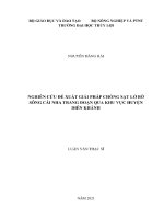 Luận văn tiến sĩ kỹ thuật: Nghiên cứu đề xuất giải pháp chống sạt lở bờ sông Cái Nha Trang đoạn qua khu vực huyện Diên Khánh