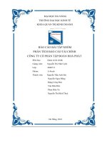 báo cáo bài tập nhóm phân tích báo cáo tài chính công ty cổ phần tập đoàn hoà phát