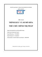 tiểu luận trình bày và sơ đồ hóa thể chế chính trị pháp