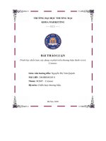 bài thảo luận trình bày chiến lược xây dựng và phát triển thương hiệu bánh và trà lamour