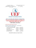 báo cáo khóa học digital marketing xây dựng kế hoạch digital marketing cho sản phẩm hạt điều rang muối và triển khai trên thực tế