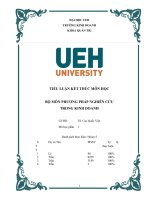 Tiểu luận cuối kì phương pháp nghiên cứu kinh doanh