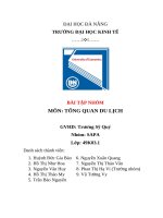 phân tích sự tác động của covid 19 đến tình hình phát triển du lịch thế giới và nước ta trong thời gian qua và đưa ra nhận định của bạn về dự báo tình hình phát triển du lịch thế giới