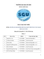 TÂM LÝ HỌC PHÁT TRIỂN ĐỀ TÀI VẤN ĐỀ LỰA CHỌN ĐƯỜNG ĐỜI VÀ SỰ PHÁT TRIỂN TÂM LÝ CỦA THANH NIÊN (18-24 TUỔI)