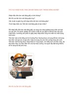 Thủ tục nhập khẩu tấm làm mát bằng giấy trong nông nghiệp