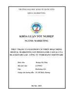 Khóa luận tốt nghiệp: Thực trạng và giải pháp cải thiện hoạt động digital marketing sản phẩm game casual của blackstars lab - công ty tnhh banci software