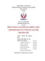 tiểu luận môn học kinh doanh quốc tế đề tài phân tích và đánh giá chiến lược kinh doanh của vinfast tại thị trường mỹ