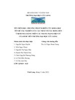 Nghiên Cứu Các Nhân Tố Tác Động Đến Ý Định Mua Hàng Trên Các Trang Mạng Điện Tử Của Sinh Viên Trường Đại Học Cửu Long.pdf