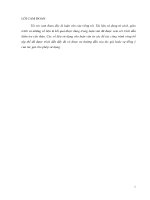 Luận văn thạc sĩ kỹ thuật: Nghiên cứu tính toán thiết kế phục hồi bánh công tác tuabin hướng trục cánh cố định