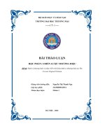 bài thảo luận đề tài định vị thương hiệu và thực tiễn triển khai định vị thương hiệu tại the cocoon orginal vietnam