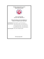 báo cáo tổng hợp kết quả thực hiện đề tài phân tích báo cáo tài chính của công ty cổ phần giấy việt trì