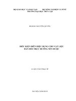 Luận văn thạc sĩ kỹ thuật: Điều kiện biên hiệu dụng cho vật liệt đàn hồi trực hướng nén được