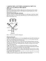 1. KHÁNG THỂ LÀ GÌ? PHÂN LOẠI KHÁNG THỂ? CẤU TRÚC CỦA GLOBULIN MIỄN DỊCH?