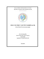 báo cáo thực tập tốt nghiệp đề tài phát triển văn hoá doanh nghiệp