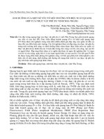 ẢNH HƯỞNG CỦA MỘT SỐ YẾU TỐ MÔI TRƯỜNG TỚI HIỆU SUẤ T QUANG HỢP CỦA THỰC VẬT PHÙ DU VỊ NH NHA TRANG