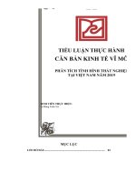 tiểu luận thực hành căn bản kinh tế vĩ môphân tích tình hình thất nghiệp tại việt nam năm 2019