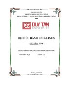 hệ điều hành unix linux đề tài dns