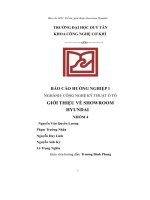 báo cáo hướng nghiệp 1 giới thiệu về showroom hyunda