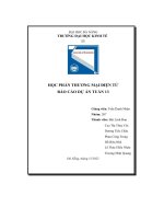 học phần thương mại điện tử báo cáo dự án tuần 13