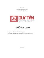 báo cáo đồ án ccoi