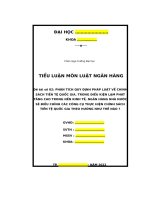phân tích quy định pháp luật về chính sách tiền tệ quốc gia trong điều kiện lạm phát tăng cao trong nền kinh tế ngân hàng nhà nước sẽ điều chỉnh các công cụ thực hiện chính sách tiền tệ quốc gia theo hướng như thế nào