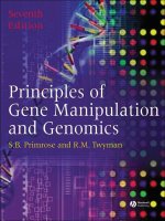 Principles of Gene Manipulation and Genomics /  S.B. Primrose