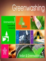 Tiểu Luận -Đạo Đức Kinh Doanh - Đề Tài - Tìm Hiểu Về Greenwashing Và Hoạt Động Greenwashing Của Công Ty Vedan