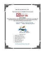 phân tích hành vi tiêu dùng trong du lịch intercontinental danang sun peninsula resort