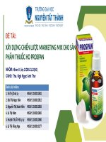 đề tài xây dựng chiến lược marketing mix cho sản phẩm thuốc ho prospan