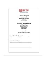 database design document firefly dashboard