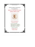 dịch vụ cắm trại dã ngoại chong chóng xanh