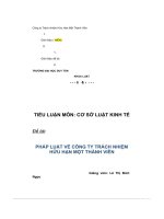 pháp luật về công ty trách nhiệm hữu hạn một thành viên