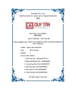 bài tiểu luận nhóm công ty nghiên cứu công ty cổ phần việt nam kỹ nghệ súc sản vissanơư