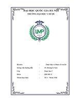 báo cáo tài nguyên cây thuốc tại tỉnh thành miền núi phía bắc tỉnh điện biên