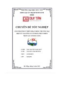 giải pháp phát triển hoạt động thương mại điện tử tại công ty cổ phần phát triển nhân lực itm đà nẵng