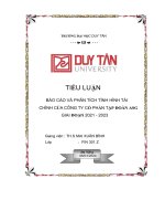 báo cáo và phân tích tình hình tài chính của công ty cổ phần tập đoàn asg giai đoạn 2021 2023