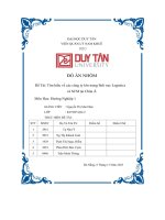 đồ án nhóm tìm hiểu về các công ty lớn trong lĩnh vực logistics và scm tại châu á