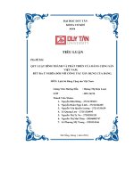 bài tiểu luận lịch sử đảng quy luật hình thành và phát triển của đảng cộng sản việt nam rút ra ý nghĩa đối với công tác xây dựng của đảng