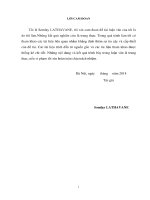 Luận văn thạc sĩ Chuyên ngành Kỹ thuật tài nguyên nước: Nghiên cứu kỹ thuật sử dụng nước thải sinh hoạt để tưới cho cây trồng