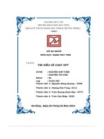 đồ án nhóm mạng máy tính tìm hiểu về chat gpt