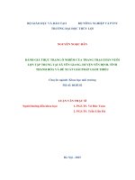 Luận văn thạc sĩ Chuyên ngành Khoa học môi trường: Đánh giá thực trạng ô nhiễm của trang trại chăn nuôi lợn tập trung tại xã Yên Giang, huyện Yên Định, tỉnh Thanh Hóa và đề xuất giải pháp giảm thiểu