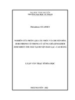 nghiên cứu phân lập cấu trúc và chuyển hóa zerumbone có trong củ gừng gió zinggiber zerumbet thu hái tại huyện bảo lạc cao bằng