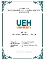 đề tài tác động lạm phát lên fdi 2