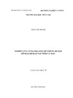 Luận văn Tiến sĩ kỹ thuật chuyên ngành Kỹ thuật xây dựng công trình thủy: Nghiên cứu cứng hóa đất bùn dùng để đắp đê bao, bờ bao tại tỉnh Cà Mau