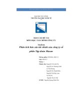 báo cáo đề tài tài chính công ty phân tích báo cáo tài chính của công ty cổ phần tập đoàn masan