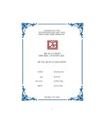 đồ án cá nhân cơ sở dữ liệu đề tài quản lý bán hàng