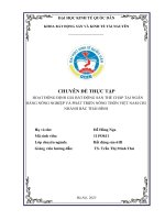 Chuyên đề thực tập: Hoạt động định giá bất động sản thế chấp tại ngân hàng nông nghiệp và phát triển nông thôn Việt Nam chi nhánh Bắc Thái Bình