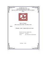 đồ án cá nhân đề tài tìm hiểu apipa trong mạng máy tính