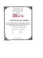 giải pháp hoàn thiện hoạt động giao nhận hàng hóa nhập khẩu bằng đường biển tại công ty tnhh tmdv gnhh fdi tại đà nẵng